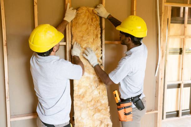 Best Energy-Efficient Insulation  in USA